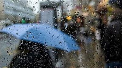 هل ستضرب مصر موجة من 