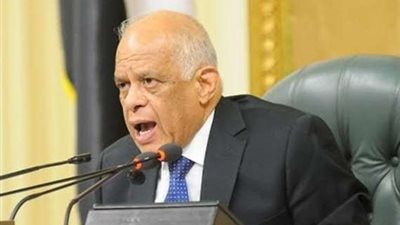 البرلمان يوافق على قرار جمهورى بشأن شراكة الأمم المتحدة من أجل التنمية