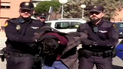 جريمة بشعة.. شاب يقتل والدته وقدمها وجبة لكلبه!