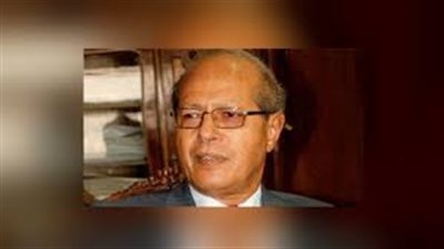 رخا حسن عن إنشاء روسيا منطقة صناعية بمحور قناة السويس: 