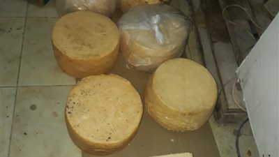 إحباط ترويج 687 كيلو أجبان منتهية الصلاحية بالجيزة