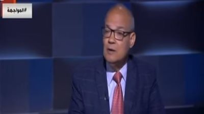 اللاوندي: القمة العربية الأوروبية انتصار للدبلوماسية المصرية