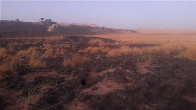 حريق بالقرب من مدينة الكاب الأثرية في إدفو 