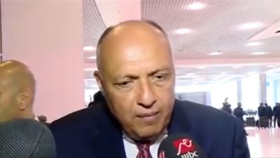 وزير الخارجية: الحضور الأوروبي في قمة شرم الشيخ دليل على تقديرهم للدور المصري