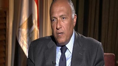 وزير الخارجية: مجلس حقوق الإنسان يوظف لأغراض سياسية