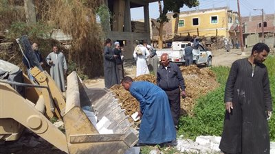 إزالة 12 حالة تعدي على الأراضي الزراعية بجنوب الأقصر (صور) 