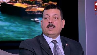 أيمن حمزة: العالم ينظر لتطوير قطاع الكهرباء في مصر باحترام