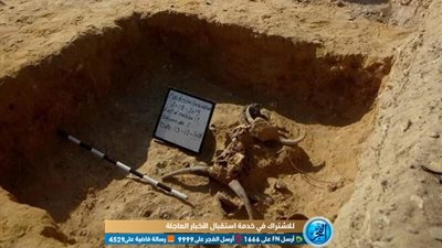 قريبًا.. كشف أثري هام في منطقة آثار هرم ميدوم (صور)