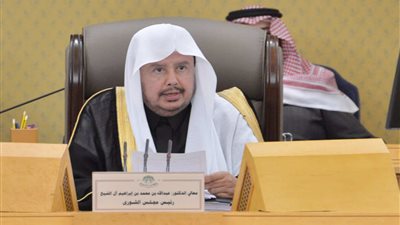 رئيس الشورى: السعودية ملتزمة بنهجها الثابت تجاه القضية الفلسطينية