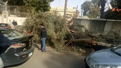 سقوط شجرة ضخمة على سيارتين وموتوسيكل أمام السفارة الفرنسية بالجيزة (صور)