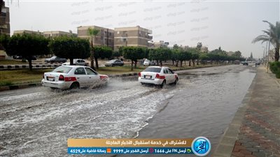 أمطار وسيول تضرب شوارع الشرقية.. والمحافظة تدفع بسيارات 