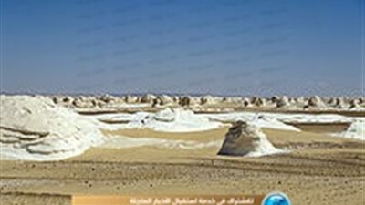 محمد جبريل: الصحراء البيضاء بها أكبر تنوع بيولوجي وليس بها زواحف