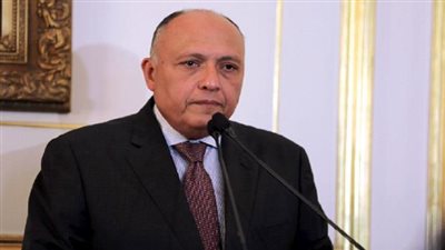 سامح شكري: نبذل كل الجهود لتوحيد المؤسسات الليبية