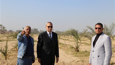 تجهيز 25 فدان لزراعتها بـ