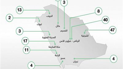 الإنتربول السعودي يعقد دورات تدريبية متخصصة لمنسوبي القطاعات الأمنية