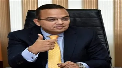 محمد خضير يطالب بإنشاء هيئة عامة مستقلة للاستثمار في أفريقيا