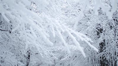 سعوديون يشربون القهوة في القطب المتجمد (فيديو)