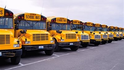 التضامن: نسبة تعاطي المخدرات بين سائقي حافلات المدارس من 1 لـ3%