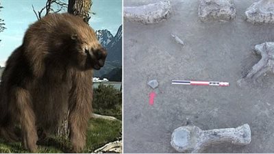 ديلى ميل: إنسان الكهف قضى على الوحوش الضخمة قبل 10 آلاف عام