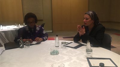 وزيرة البيئة تناقش دعم المبادرة المصرية لدمج الاتفاقيات البيئية الثلاثة بجوهانسبرج