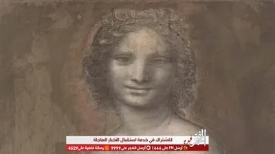 هل رسم دا فينشي 