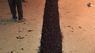 الانتهاء من 18 فاصلة أعلى كوبري أبيس بالإسكندرية (صور)