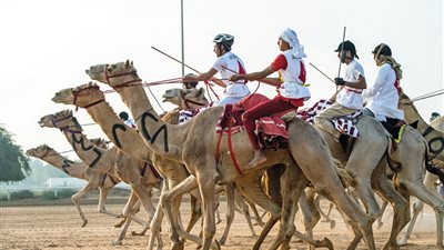 سكرتير الإسماعيلية: جاهزون لانطلاق دورة مهرجان الهجن 2019