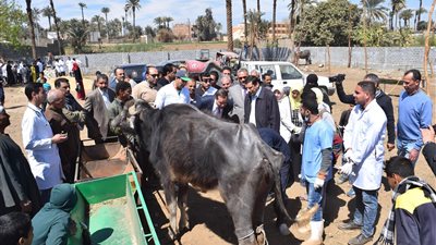 جامعة سوهاج تطلق قافلة طبية مجمعة لقرية الشيخ مكرم ضمن مبادرة 