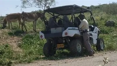 قوات الاحتلال الإسرائيلي تعتقل حمارين