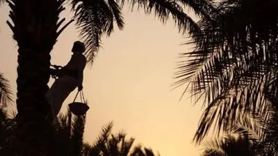 محمد بن زايد يعتمد مليار درهم لاستقطاب التكنولوجيا الزراعية