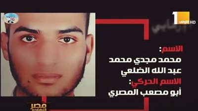 شاهد.. كيف كذبت جماعة الإخوان في قضية الإرهابي محمد الضلعي