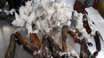 إحباط محاولة تهريب عظام آدمية أثرية عبر ميناء القاهرة الجوي (صور)