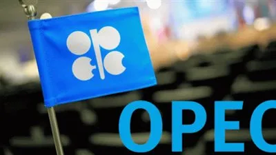 الأمين العام لأوبك: شركات النفط الصخرى الأمريكية استفادت من جهود المنظمة في خفض الإنتاج