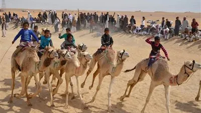 محافظ الإسماعيلية ومدير الأمن يشهدان انطلاق مهرجان سباق الهجن