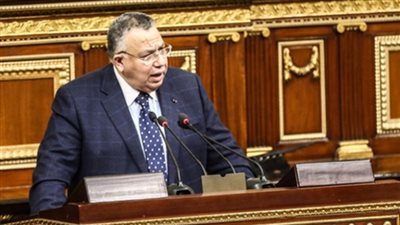 وكيل البرلمان يطالب وزير الزراعة بالاهتمام بالفلاح: عماد الدولة المصرية