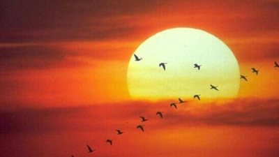 درجات الحرارة المتوقعة اليوم الخميس في محافظة الأقصر