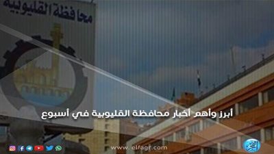 القليوبية × أسبوع: 