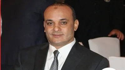 برلماني: دمج الشباب المصري والعربي والأفريقي بأسوان يكسبهم الخبرات