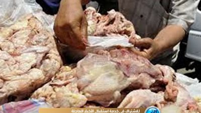 تفاصيل ضبط 230 طن دواجن برازيلية فاسدة في دمنهور