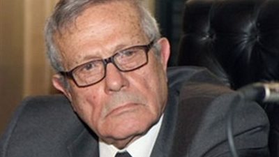 الريدي: تركيا كانت تتعامل مع مصر على أنها ولاية