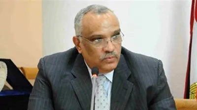 التنسيق الحضاري: بعض أعمال الترميم أساءت لفن النحت في مصر