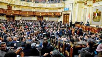 برلماني عن تمثيل المرأة في هيئة كبار العلماء: يجب أن تكون على علم وثقافة