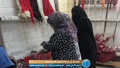 رحلة شقاء وقصة كفاح.. 