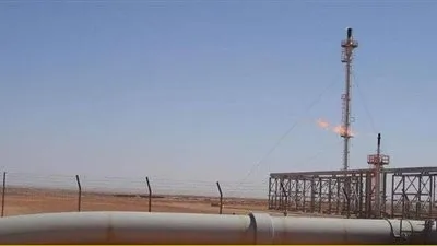 التظاهرات تعطل محادثات 