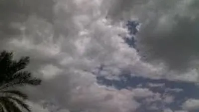 الربيع بدأ.. الأرصاد تحذر من ساعات الليل المتأخرة (درجات الحرارة)