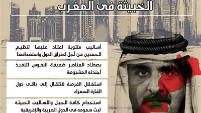 فضح خطط تنظيم الحمدين الخبيثة فى المغرب 