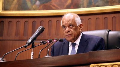 رئيس جنايات القاهرة يطالب بمد فترة النائب العام لـ6 سنوات: 4 لا تكفي 