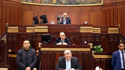 قاضٍ باستئناف الجيزة: التعديل الدستوري ليس عليه خلاف من حيث المبدأ