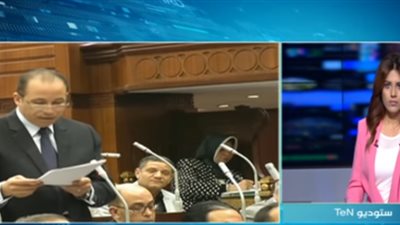 محكمة النقض: وافقنا على تعديلات المواد المتعلقة برئيس الجمهورية