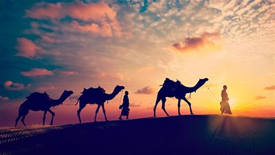 من التاريخ.. الرحلة الحجازية